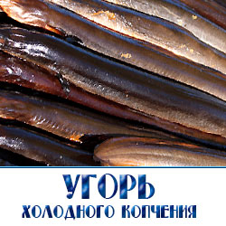 Угорь холодного копчения по низкой оптовой цене для магазинов и ресоранов с доставкой по договору  от производителя копченой рыбы в Московской области. 