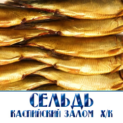 Селедка холодного копчения залом по оптовым ценам в Московской области от производителя 