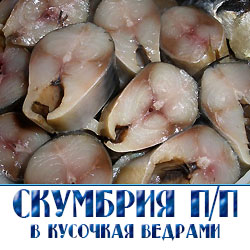 Продажа скумбрии соленой ведрами  по оптовой цене в Подмосовье 