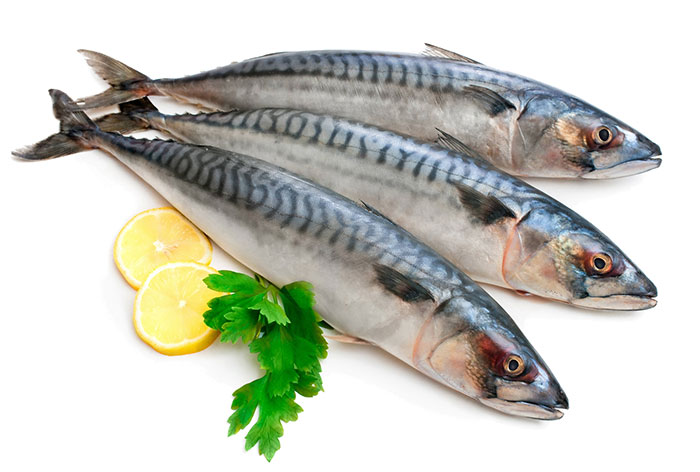 Скумбрия соленая является полезным и питательным продуктом. А все потому, что в составе мяса рыбы содержатся легкоусвояемые белки и жирные кислоты Омега-3, которые требуются человеку. Так же в соленой скумбрии содержатся витамины: РР, А, В, D, Е и микроэлементы: цинк, селен, железо, фосфор, натрий, магний, кальций, калий.