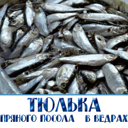 Тюлька пряного посола  в развес ведрами  по оптовым ценам с рыбной биржи с доставкой по Москве и Московской области для розничной торговли на рынках и ярморках 