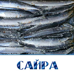 Купить рыбу сайру свежемороженую оптом  со склада в Москве 