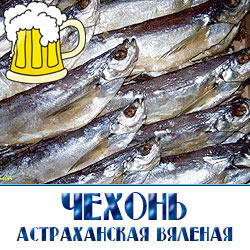 Чехонь – рыба семейства карповых, обладающая глубоким и необычным вкусом, нередко использующаяся для приготовления широкого ассортимента блюд и рыбных закусок. 