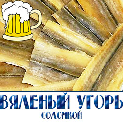 Сушено вяленый угорь  для магазинов разливного пива в Москве и Московской области 