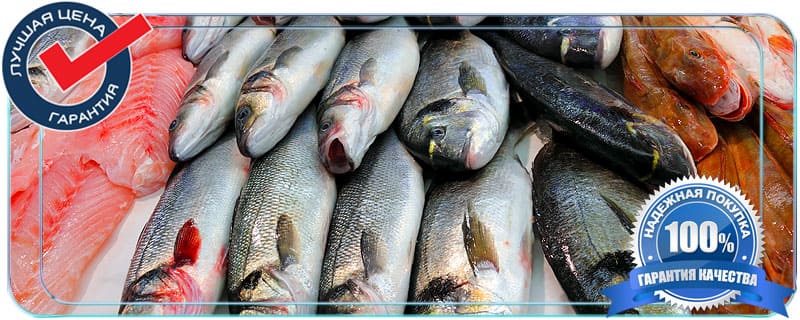 Доставка рыбы мелким оптом по Московской области. 