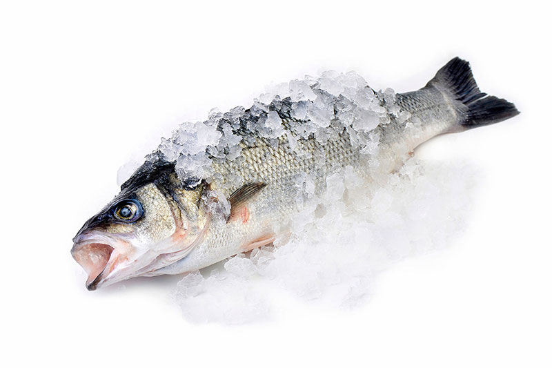 Охлажденная рыба купить оптом недорого с доставкой по Московской области 