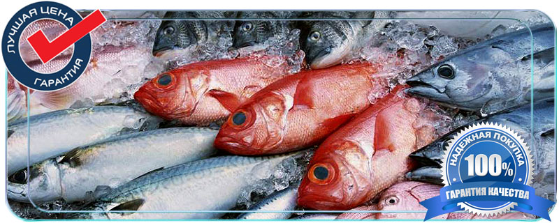 Транспортировка и хранение охлажденной и свежемороженой рыбы требует использования специального низкотемпературного оборудования, а также специфической тары.