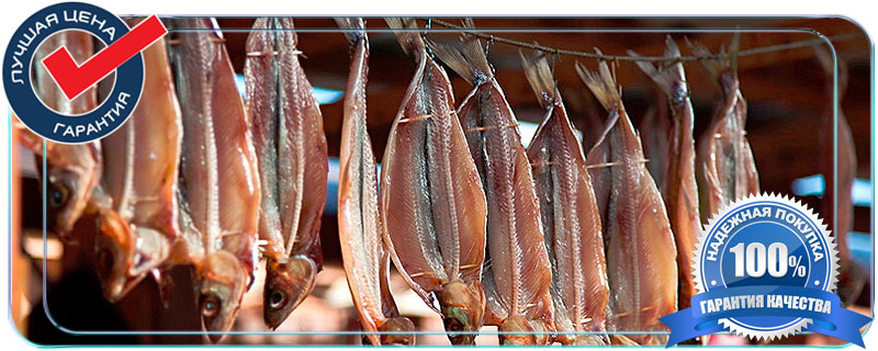 Вяленая рыба оптом цена в Москве 