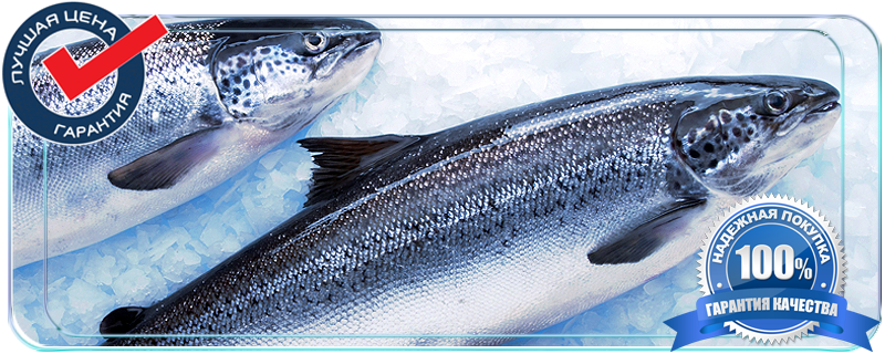 Оптовые продажи замороженой рыбы  в Московской области с рыбной оптовой базы с доставкой 