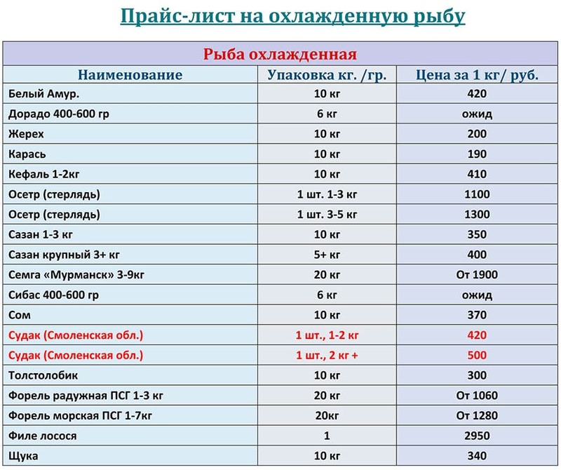 Охлажденная рыба прайс-лист на СЕНТЯБРЬ 2026 года.