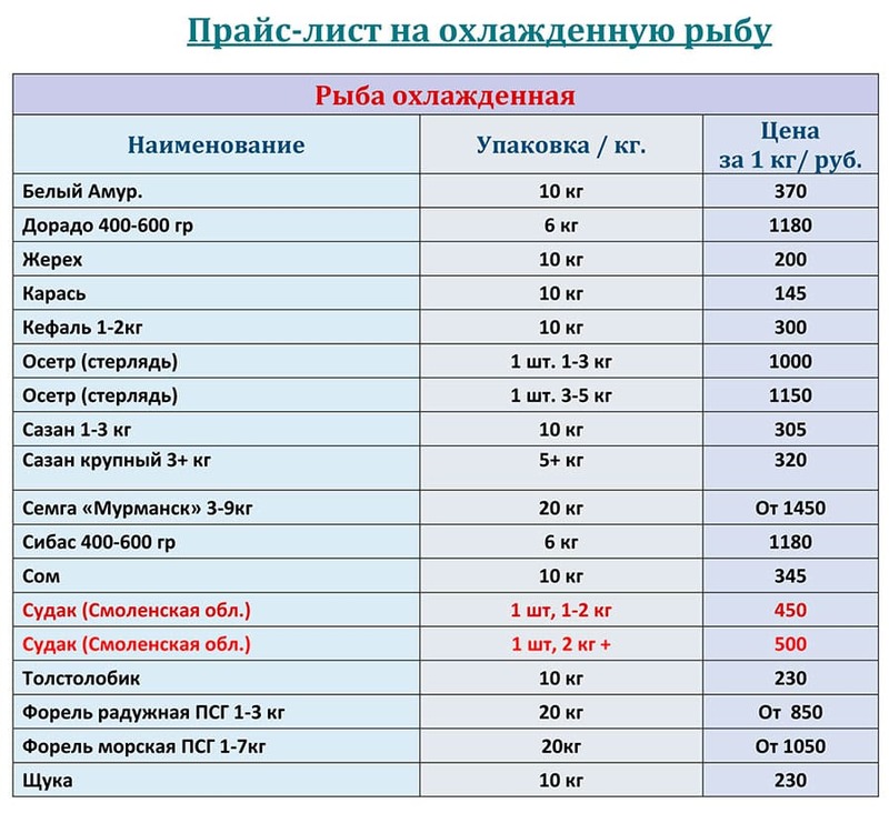 Охлажденная рыба прайс-лист на АВГУСТ 2025 года. 