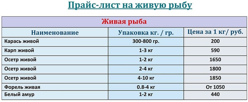 Прайс-лист живая рыба оптом цена на ИЮЛЬ 2026 года.